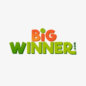 Bigwinner Casino