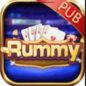 Rummy Pub