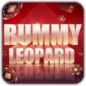 Rummy Leopard